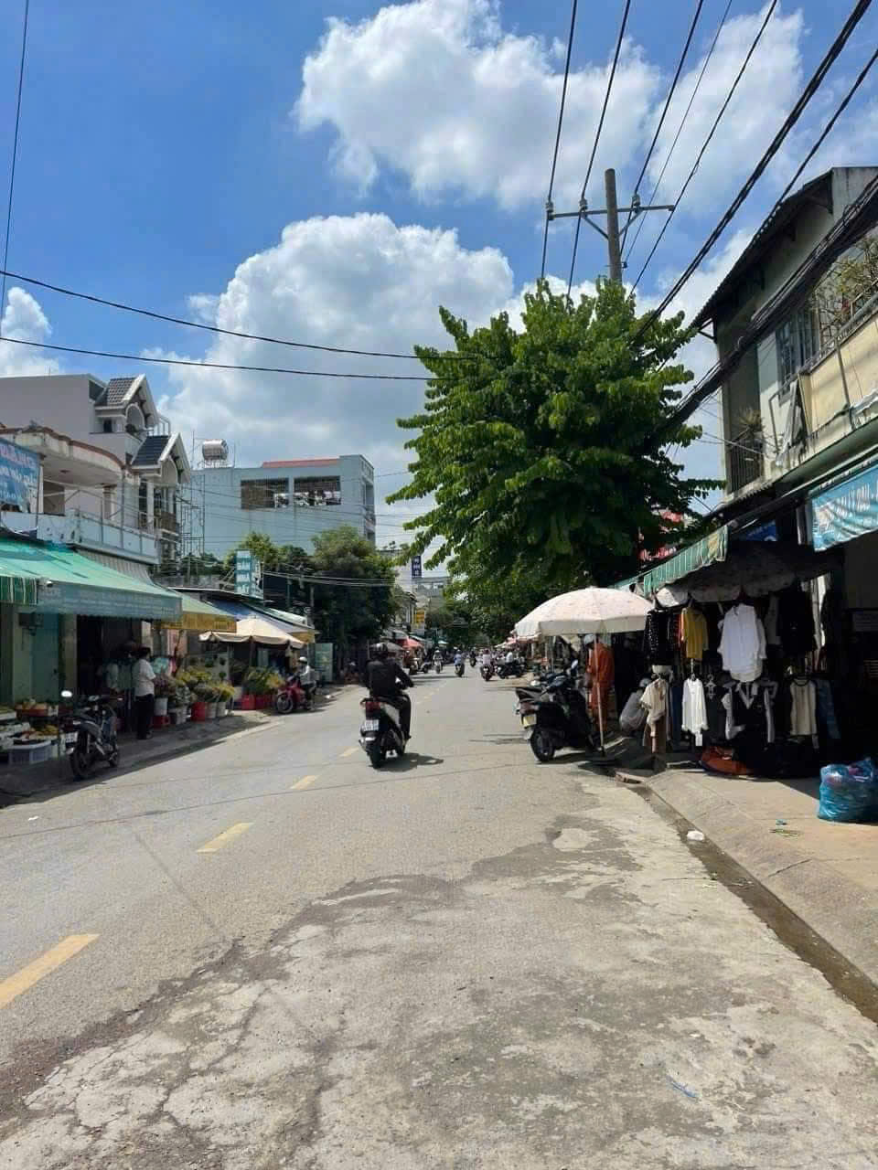 z6474582849119_6cb2113899f27022d1f855bf0561b7e8