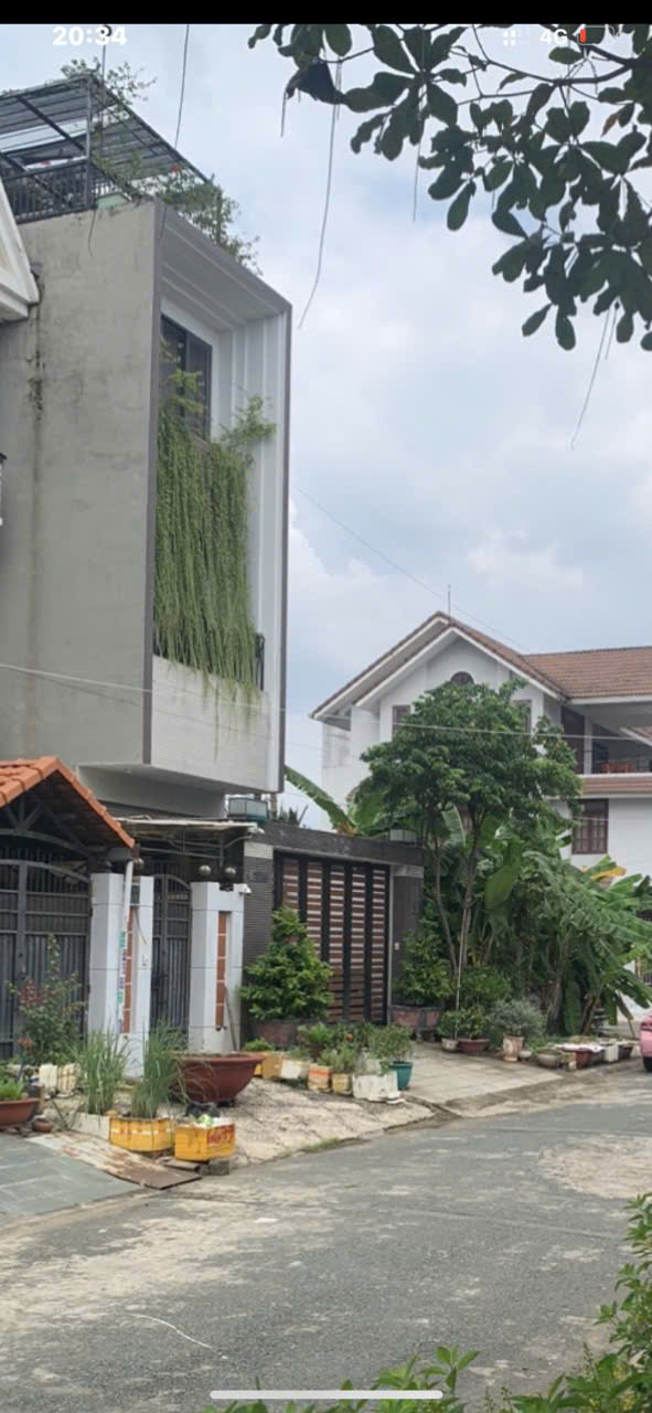 z6519665646548_5358eecf6781d805e9c732dad465a5b5