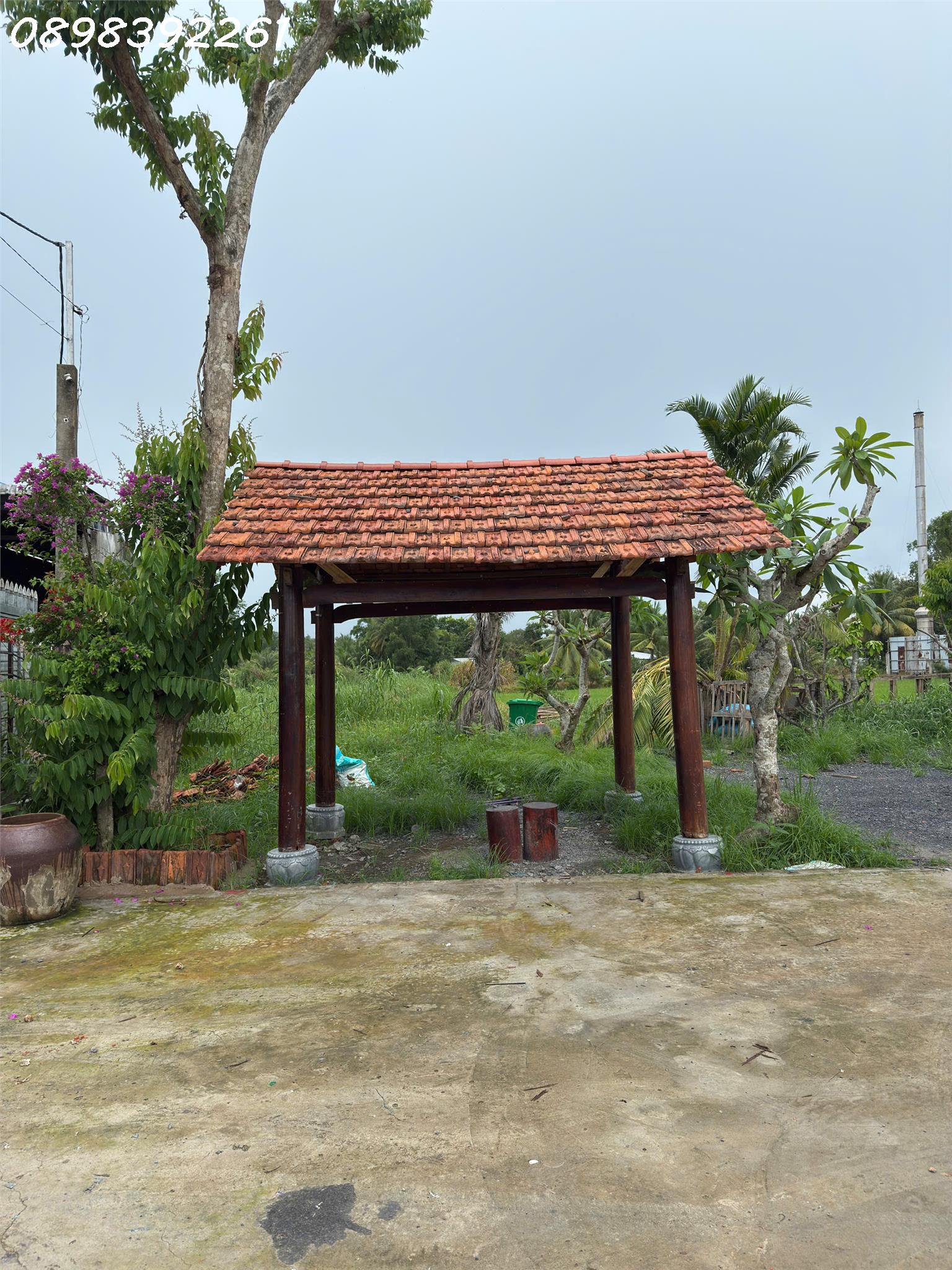 z6627581073704_1150aa7ee7de553bbc1c698ecfe66564