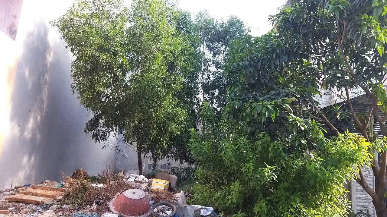 z6768952040321_d6683095e20ac3c62d295e609c1afc40