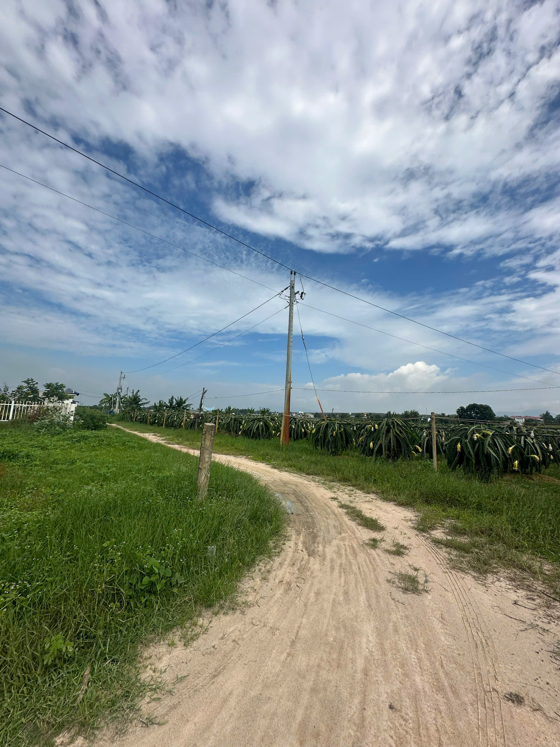 z6819779311101_0e82d6ccdbc6de404f8a146f189064c9