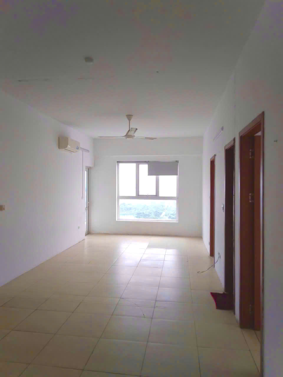 z6910102733742_4b71ec5feb4cd7e39a19fcec0f6c7c2d