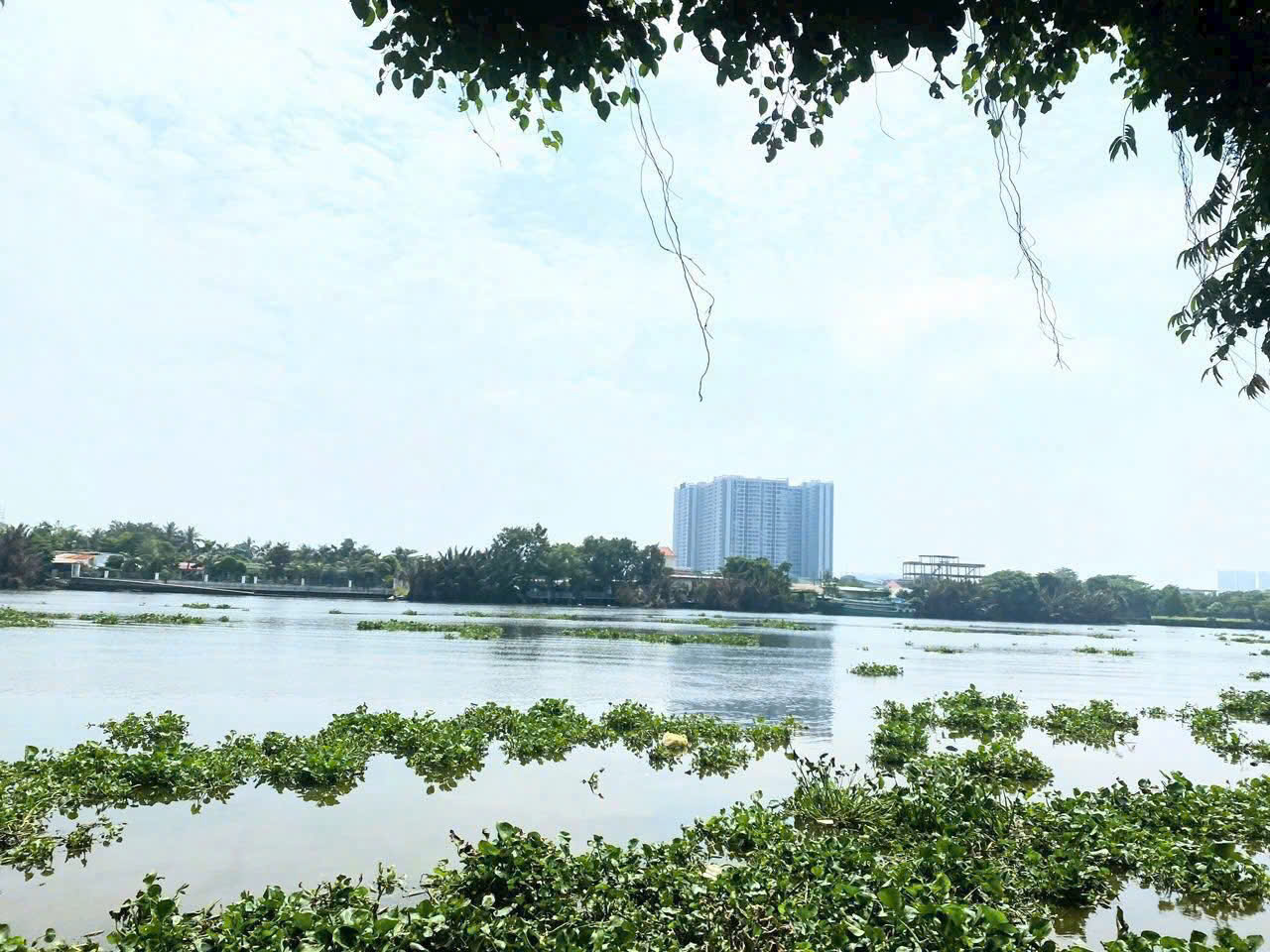 z6955423841435_960cbd587436d8566eab1d7307d2cc50