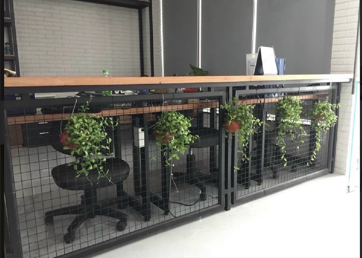 z7047100344234_786e1e8dc761b414833599ec65fcd167