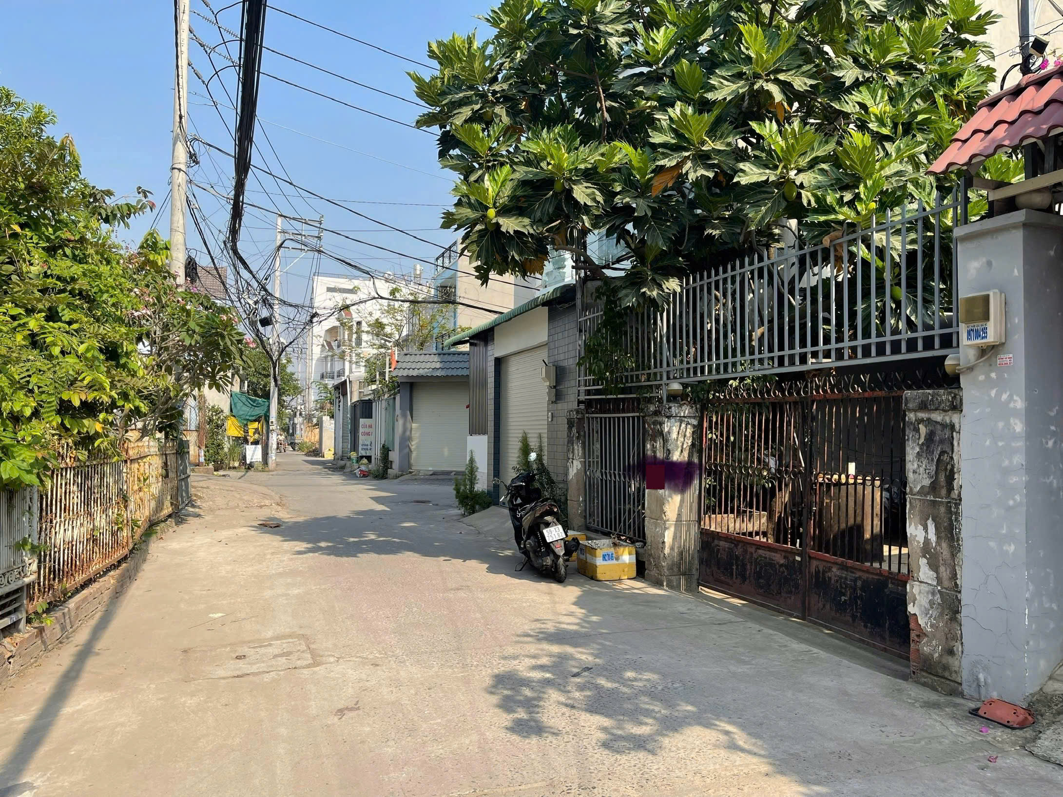 z7047135214717_a75a61d14702d8b18c5f3da5ae5547be