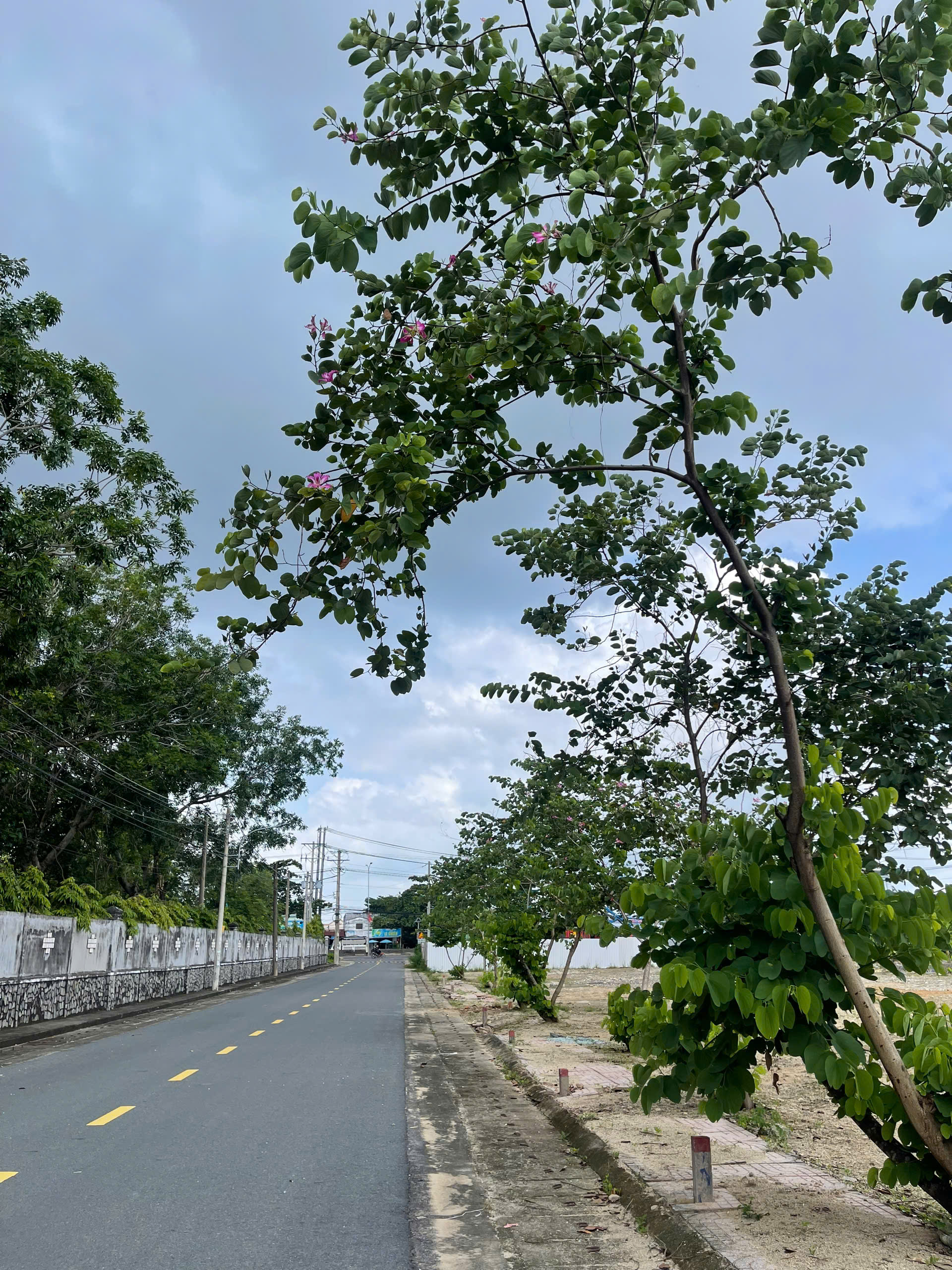 z7048110191254_723b1a5916d8e28613c6d2f5a5aa1eea