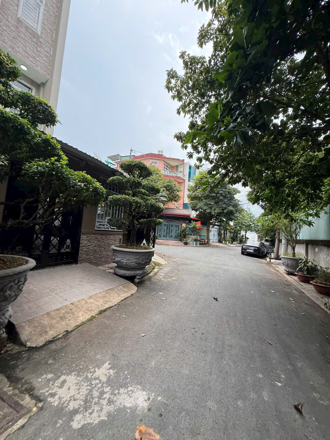 z7083467795146_fa37c487a5b03dcd1397dce2fb7f999d