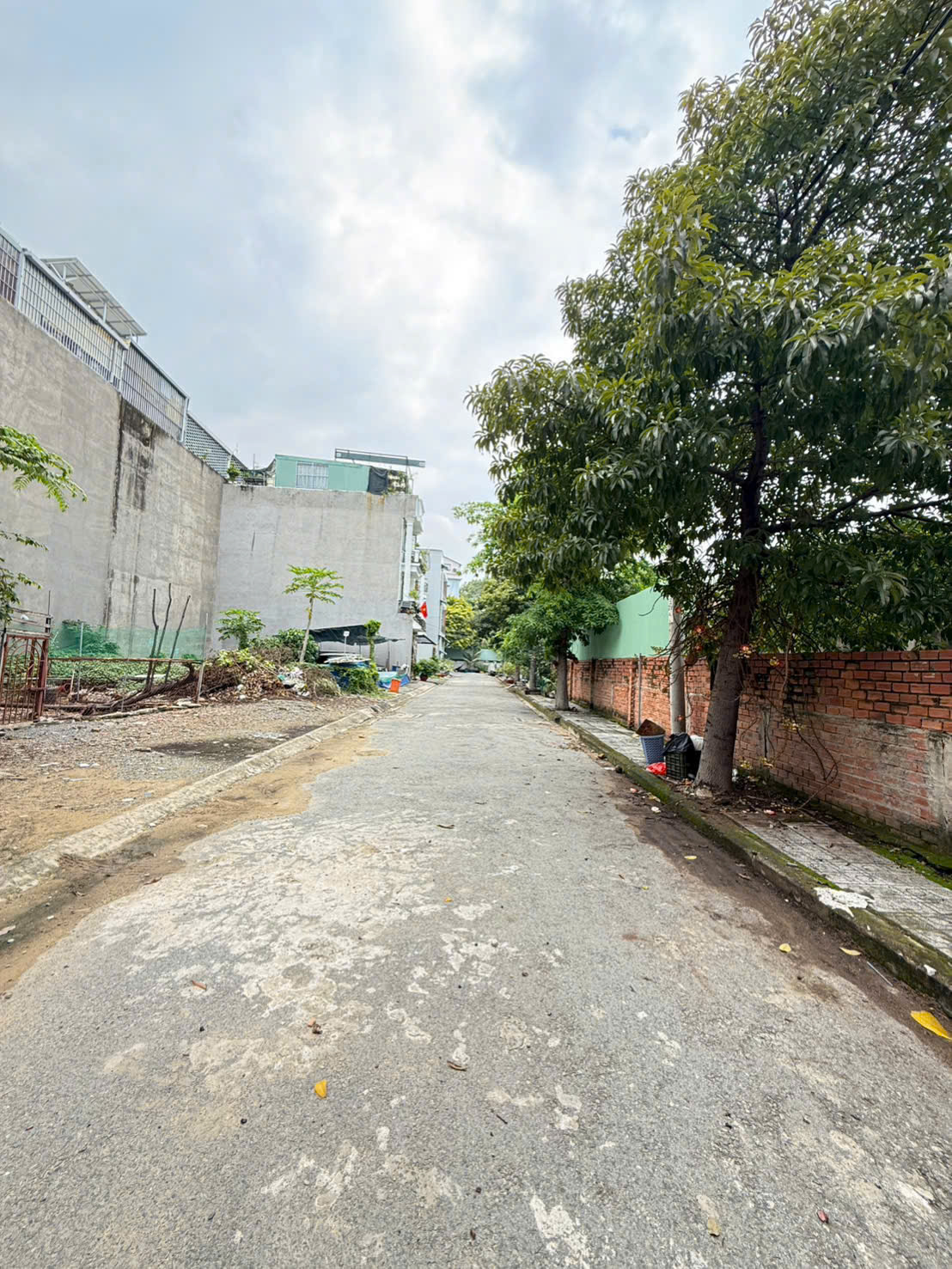 z7083467813244_bab08a614641c26a59c4da7f3c021ec0