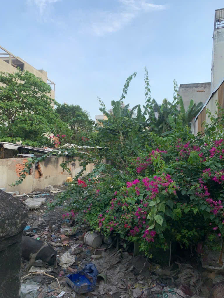 z7099788633338_c3294db2c56eb5af362e236919998c46