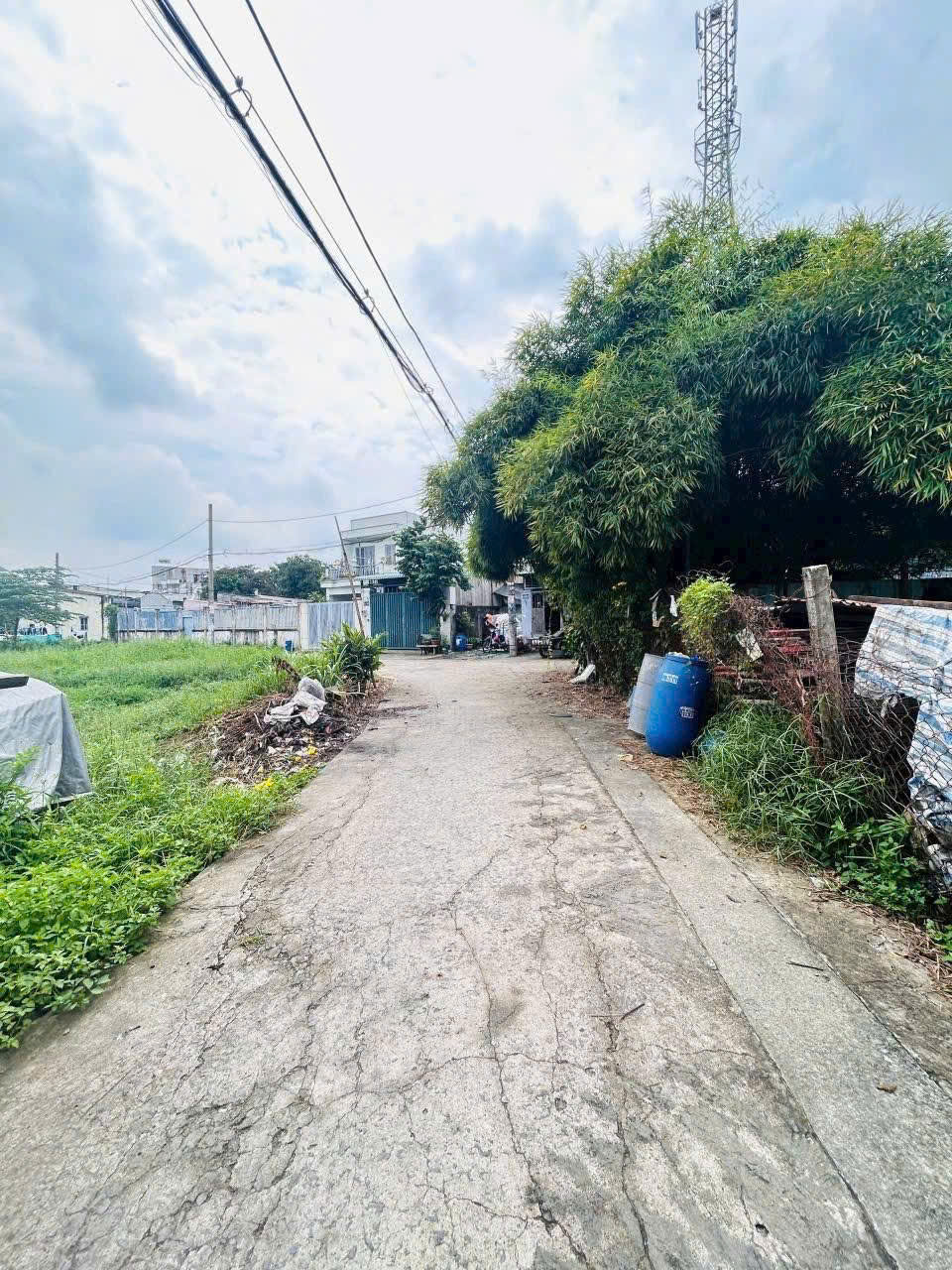 z7122176340004_d7eff28b0b36d4c9e7b3d656d20ff55d