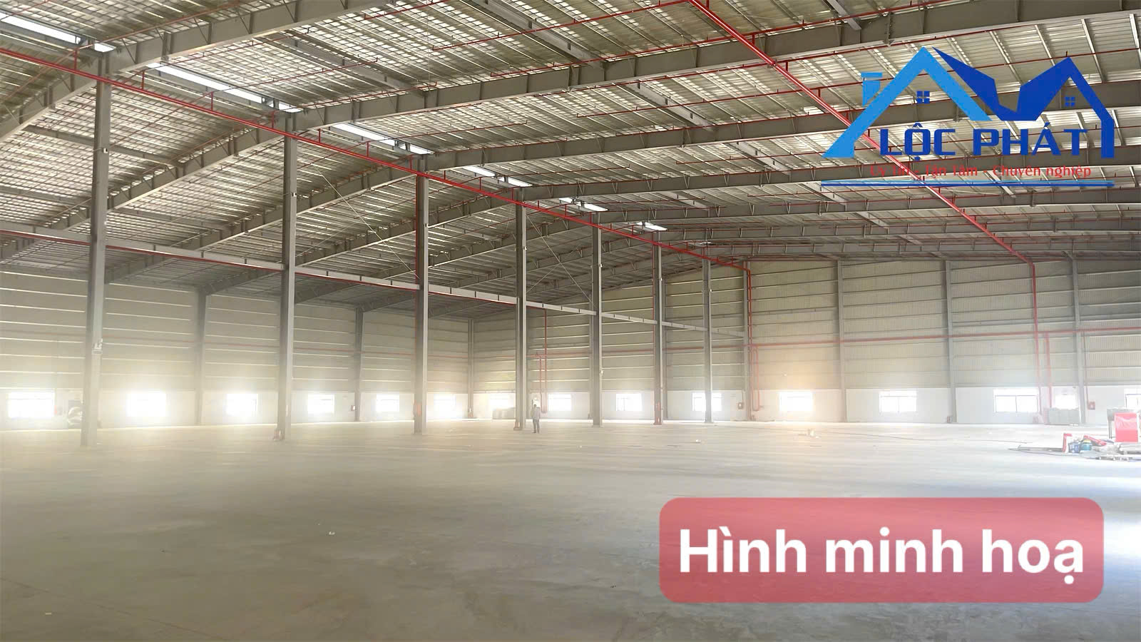 z7125197726625_081a6c36be06dba5dc7785b85c4ec13e