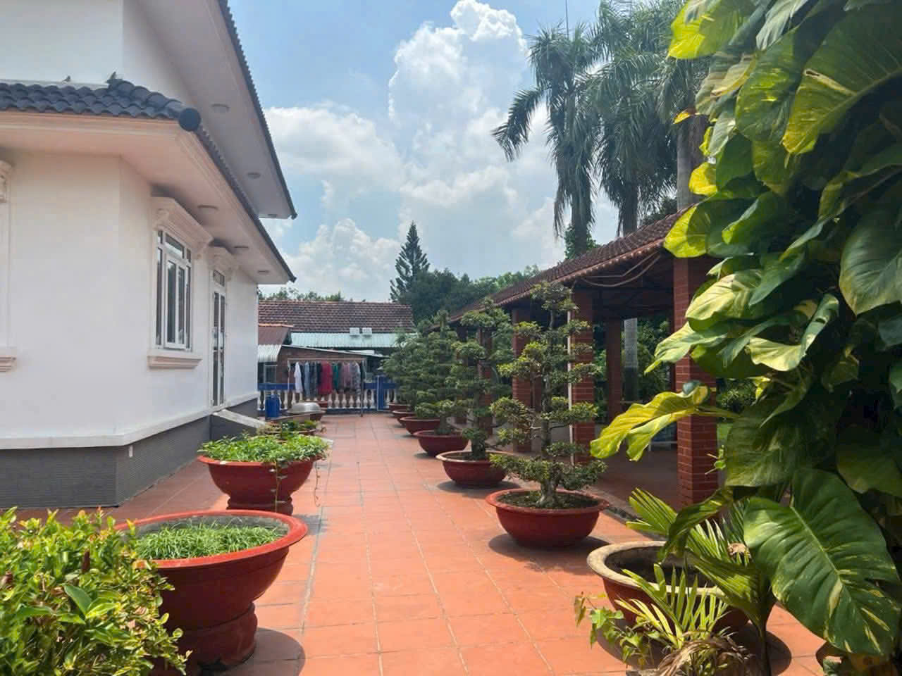 z7138205055608_7ef435696e32248d18eeefb7a13a512b