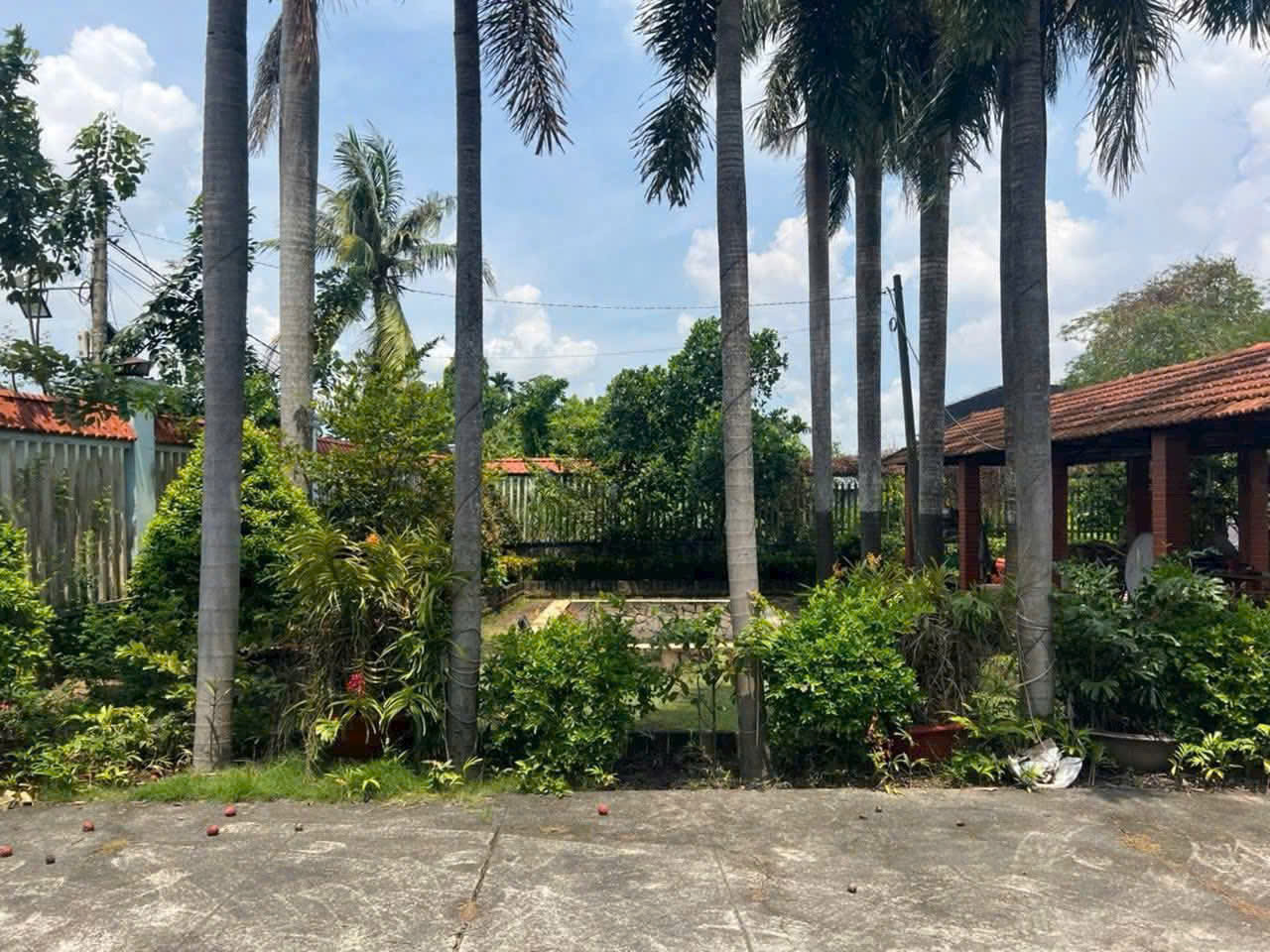 z7138205061984_21d75155c97f174fb1ccf6b70f4fb585