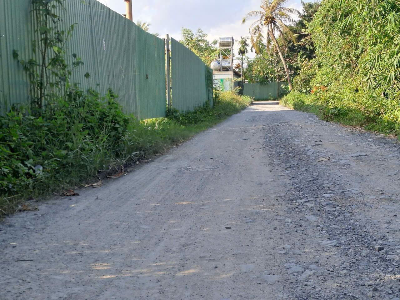 z7145682063113_fe42b6b5e3428d0adea15c843268f3a7