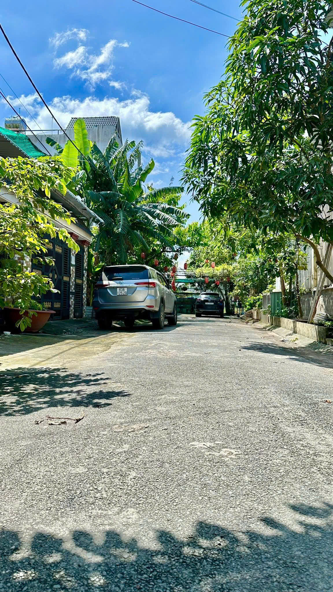 z7146552134242_e6f6ab039ec8a1cde786871a72e2640d