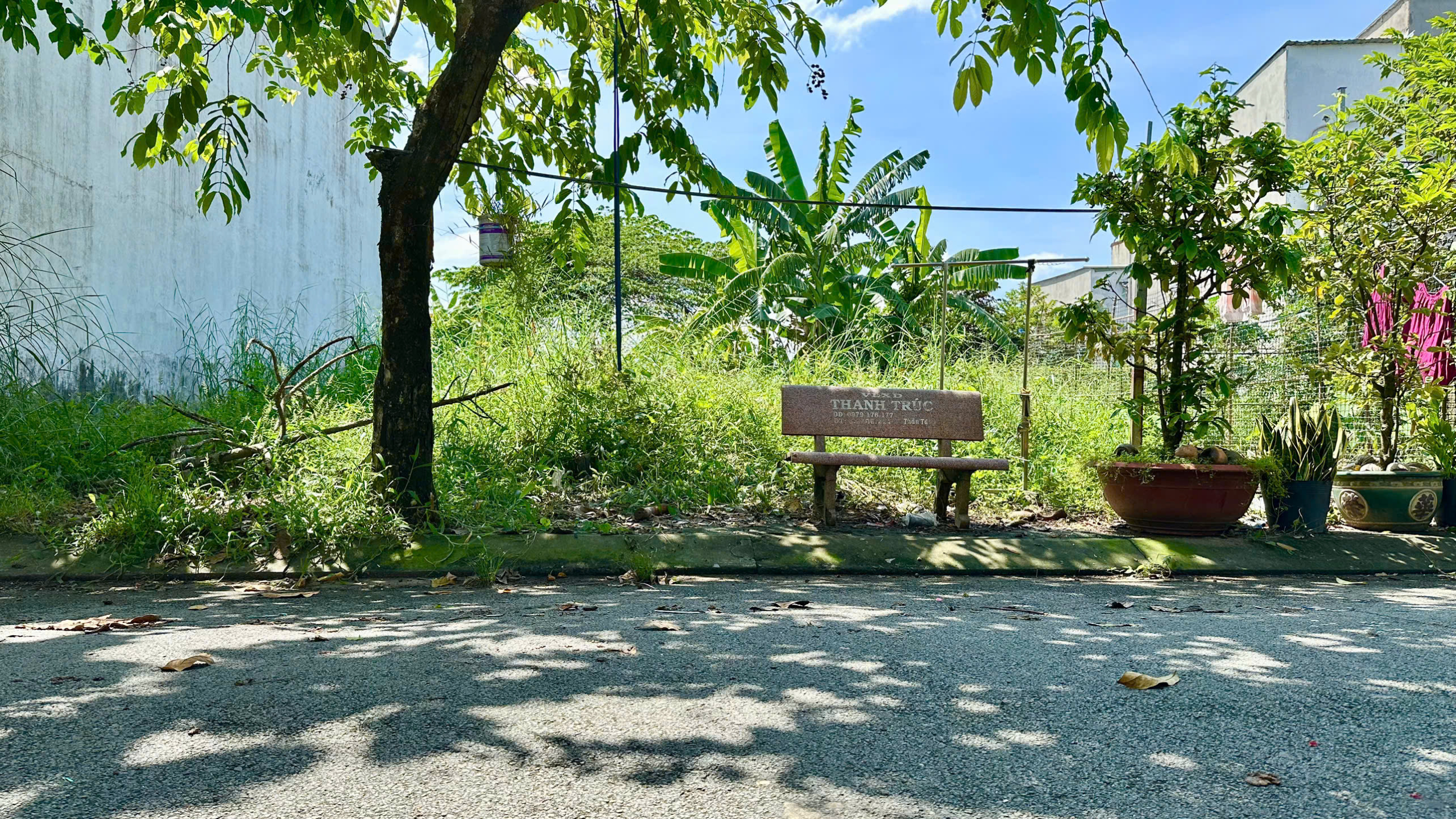 z7146552140168_fdd62135cda480135eebb99da7029636