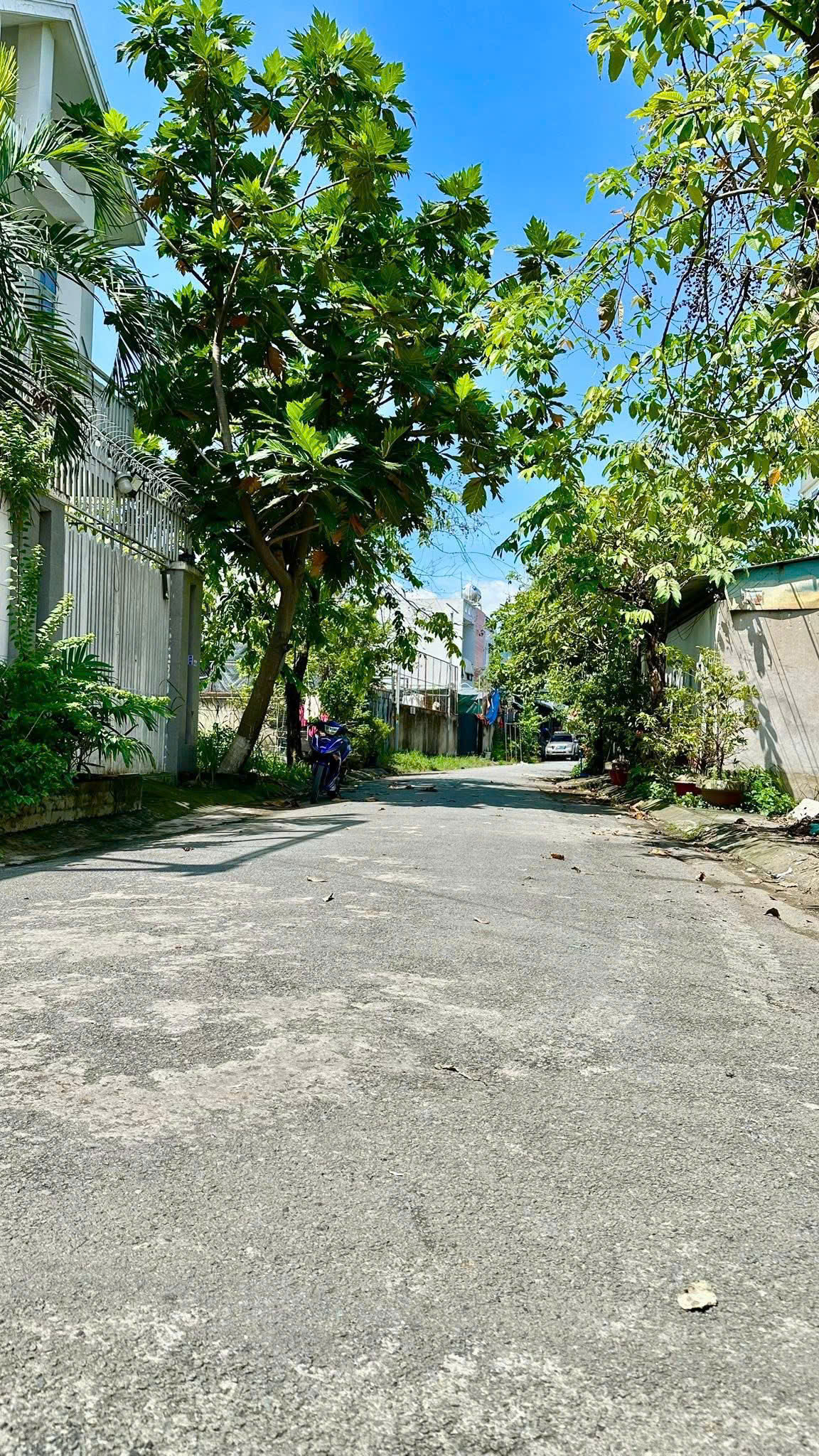 z7146552624317_9edeb44b40b500a17ff1a32b2690cc65