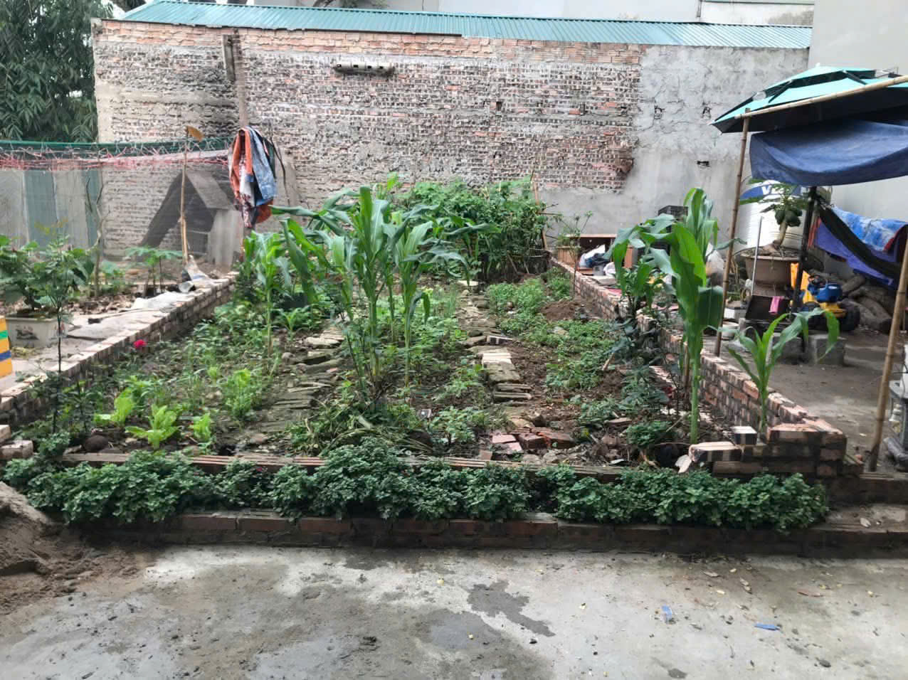 z7153590250129_e69490721c939f00dbb2e1be41a0fd63