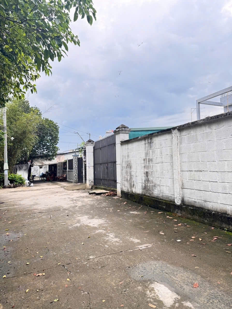 z7159936884162_8381b2caccbd7eccdbebace3210b4002