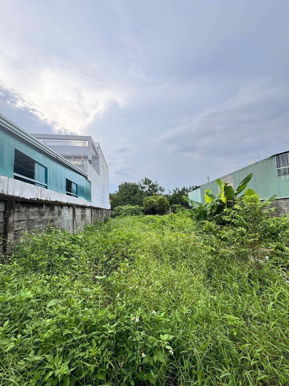 z7159936891424_e6b9ff8c8473af7f0d2597bdd6fd5bfd