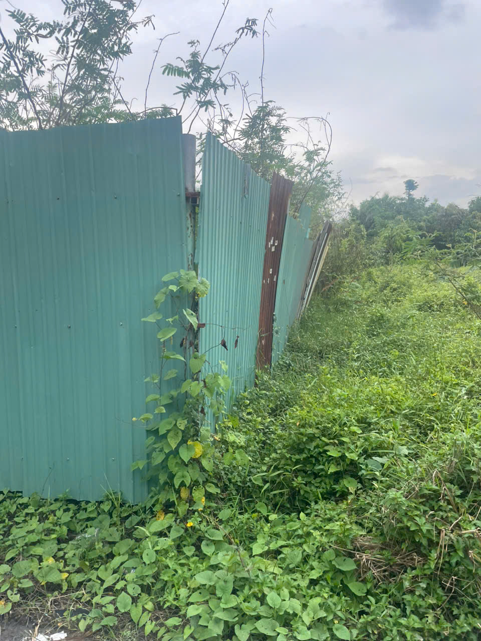 z7167696328732_dea12db030f5e63f6752531709b0998d