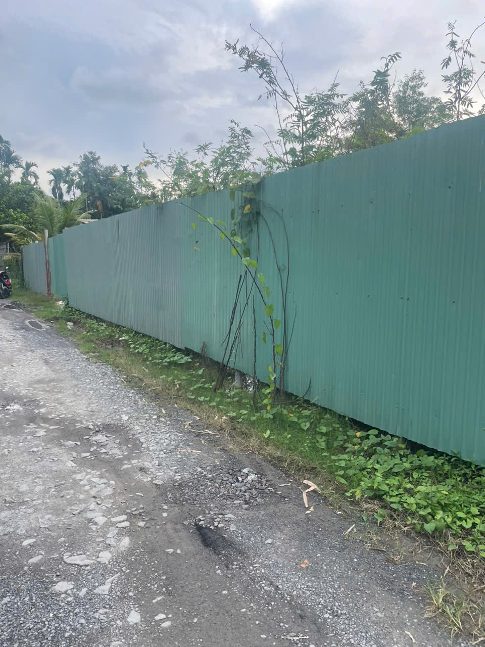 z7167696362384_5bd3757e06851789745c8ab01fc5054f