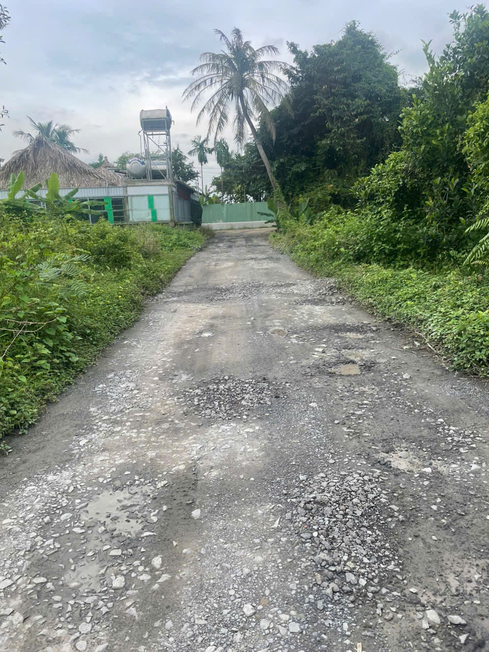 z7167696439046_d4260e63485f40faa1d05d9a37d96b5f