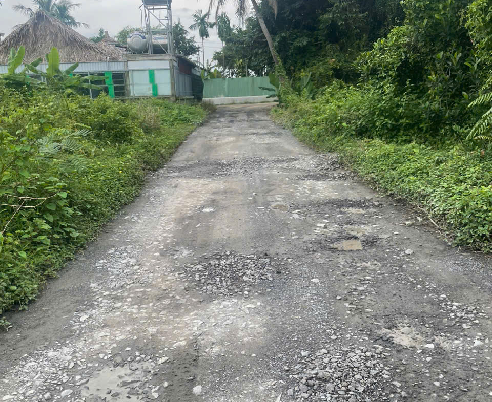 z7167696439046_d4260e63485f40faa1d05d9a37d96b5f