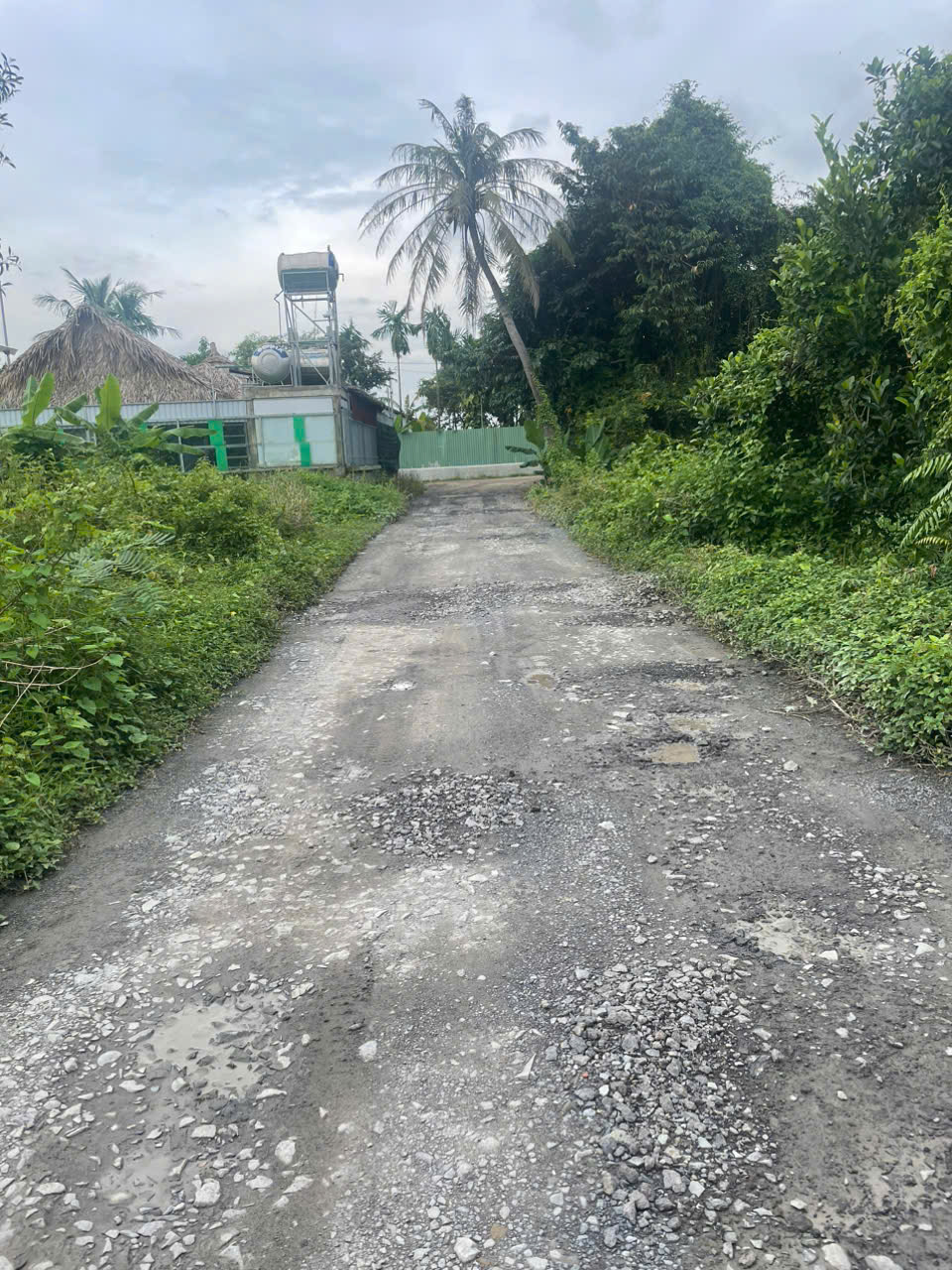 z7167696459259_369949398e417a6276316a28771ead03