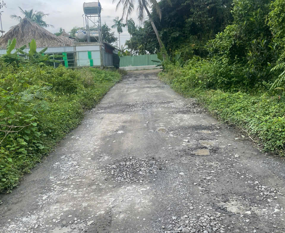 z7167696459259_369949398e417a6276316a28771ead03