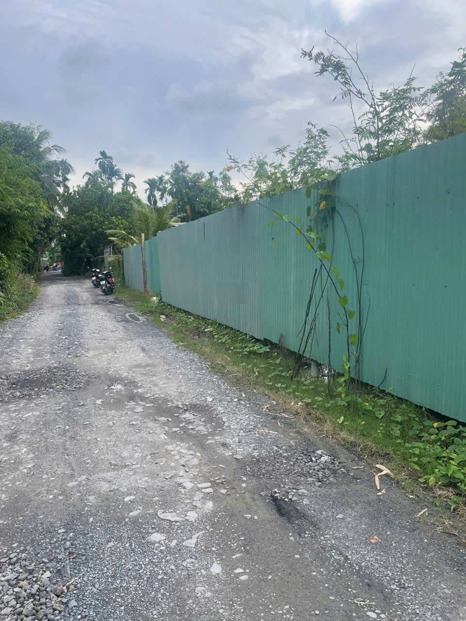 z7167696486717_2cdbe93de458d8ad993f4b76e6fa3d3c