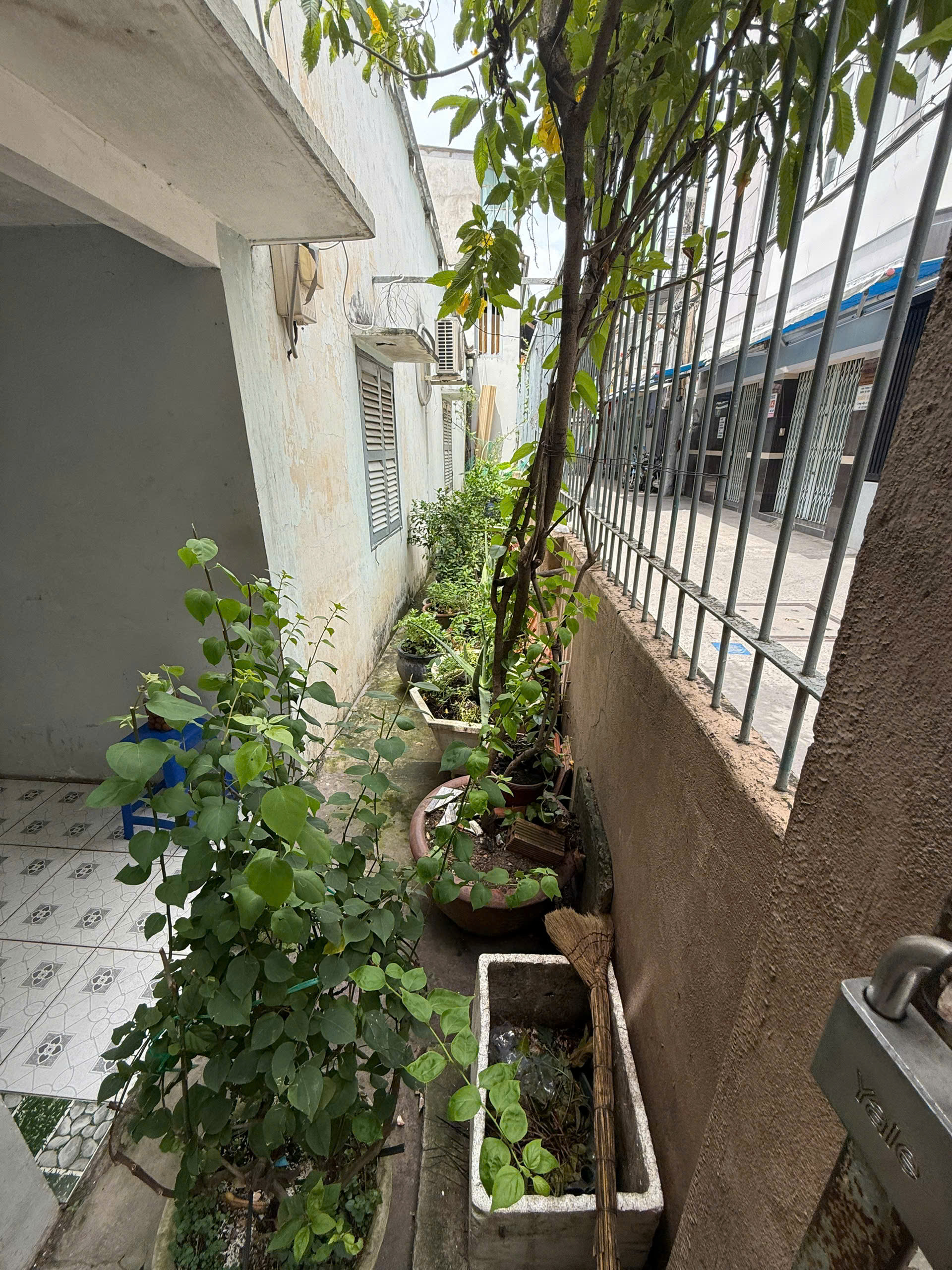 z7169347452762_cf64bd595077c627990710bd87d5acd2