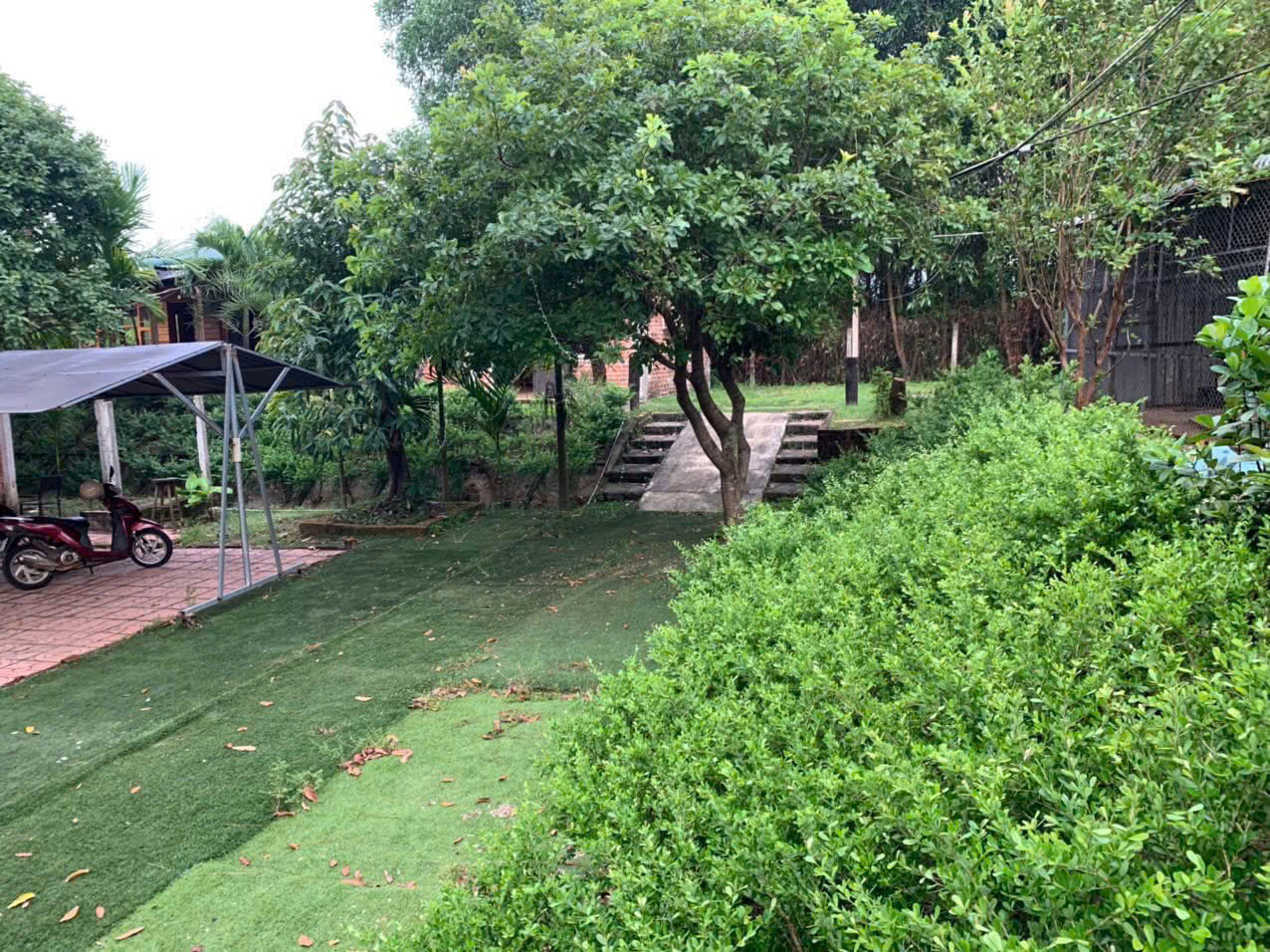 z7169924465656_d19e15e55b813e2b6929c280b99491f5