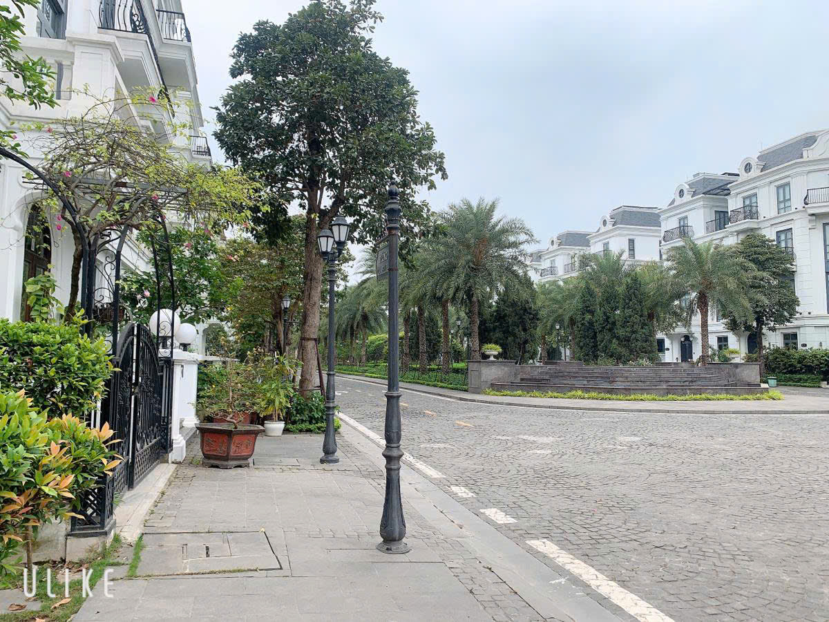 z7169972131779_a145ba09bfe7ea41fa2f2800e2a124d4