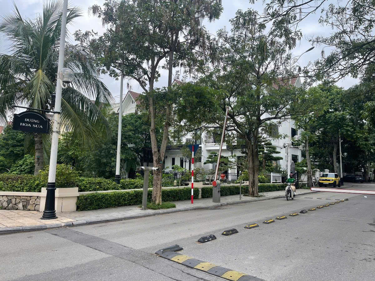 z7169972411923_3a00b37bee0d29e684785942d1e67780