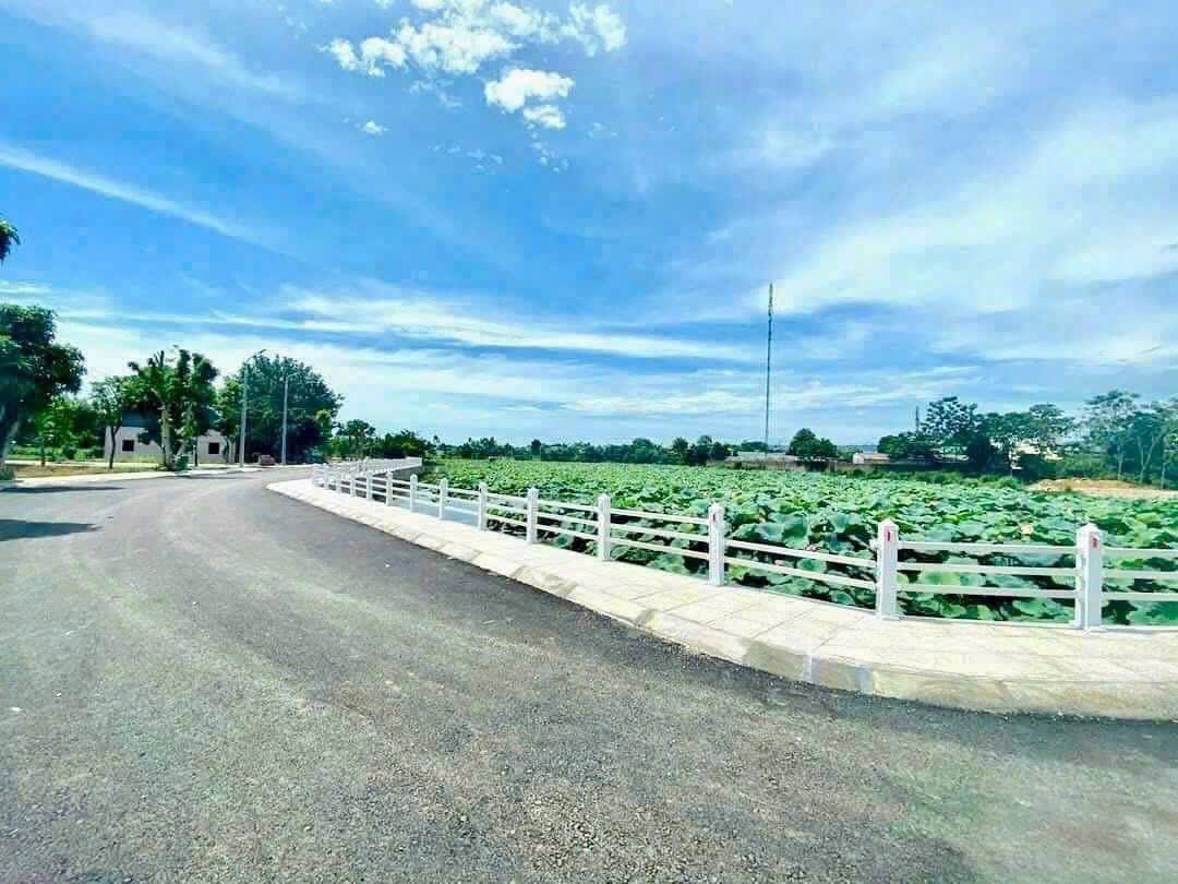 z7170514938677_55644a3f3967f66988c2828ca1f154d8