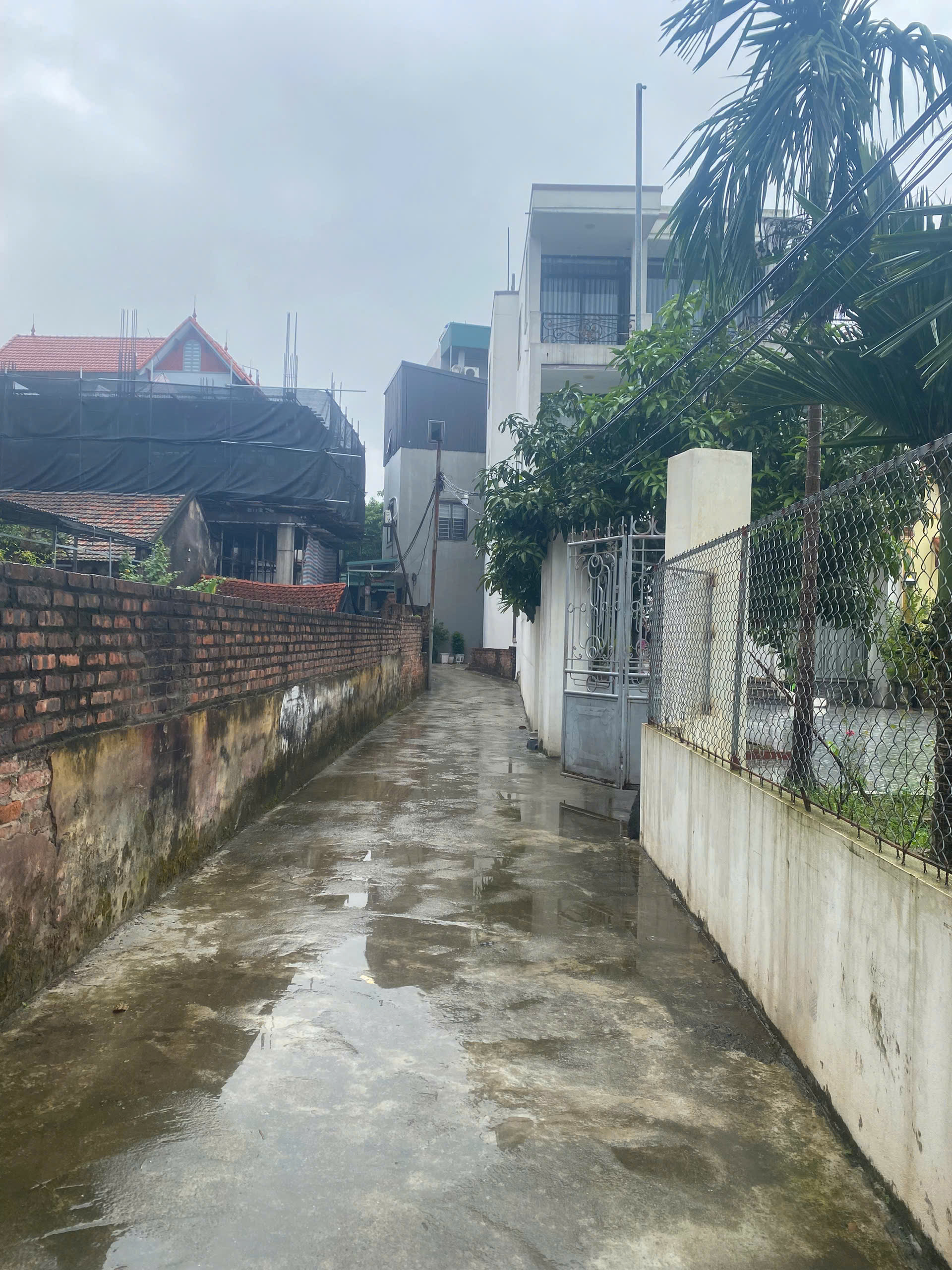 z7173955899360_f5c56e0170bb9941119ce807b1646a77