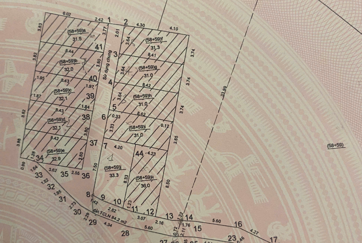 z7175747008536_3e1a50161091d10dc7d1b0c6af9c9435