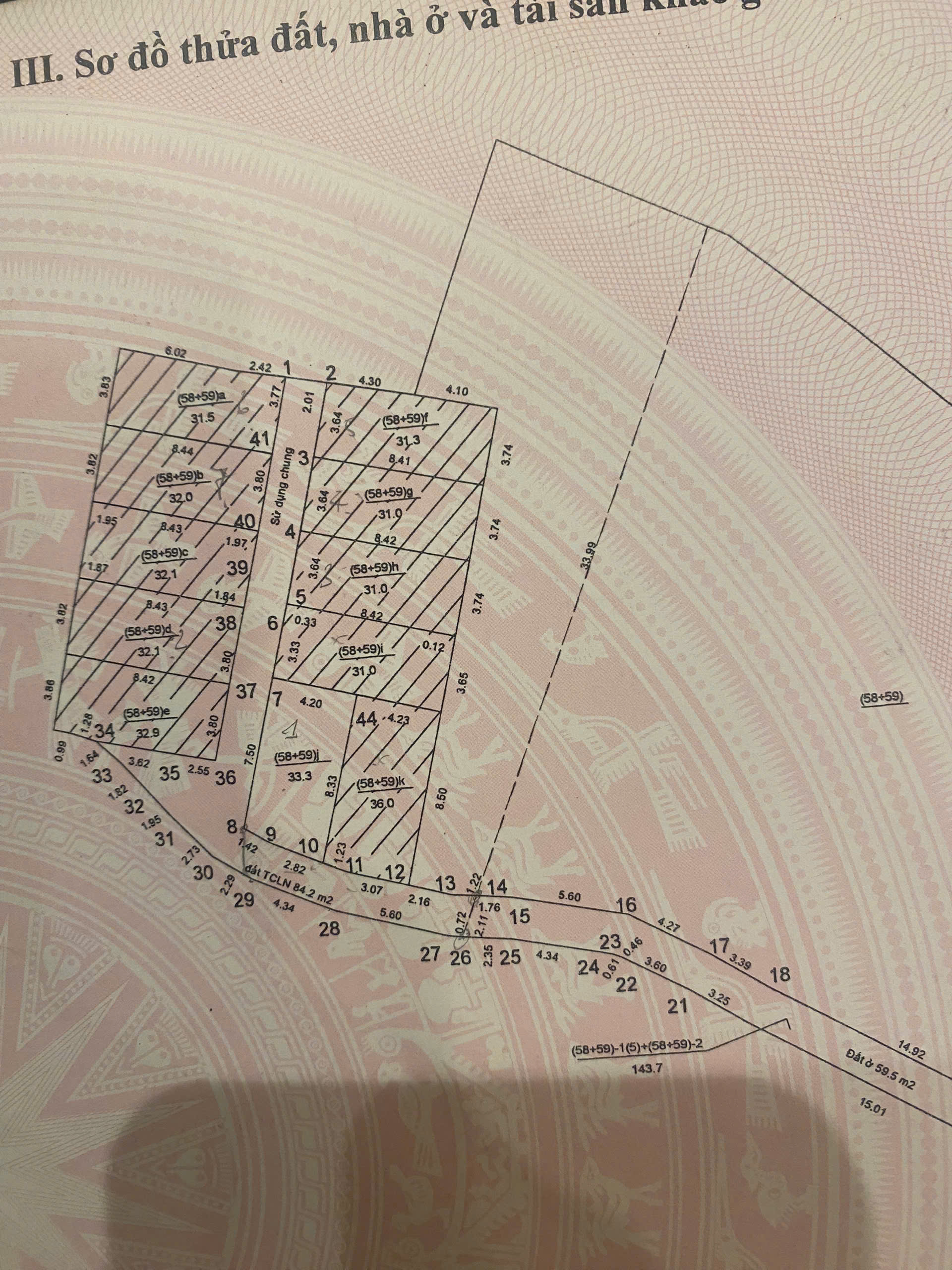 z7175747008536_3e1a50161091d10dc7d1b0c6af9c9435