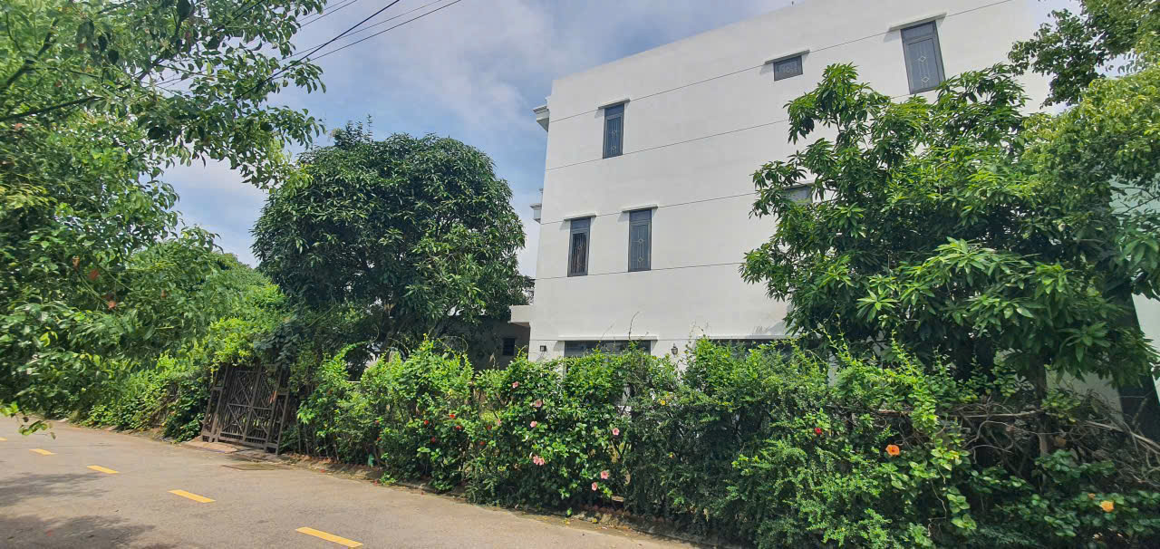 z7176520736996_522a1479b47567837687542a2a6f9fa1