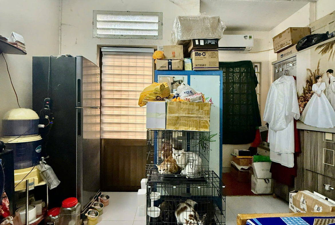 z7176528796988_62cccbf4c37dd139d97da2b3149f6cf1