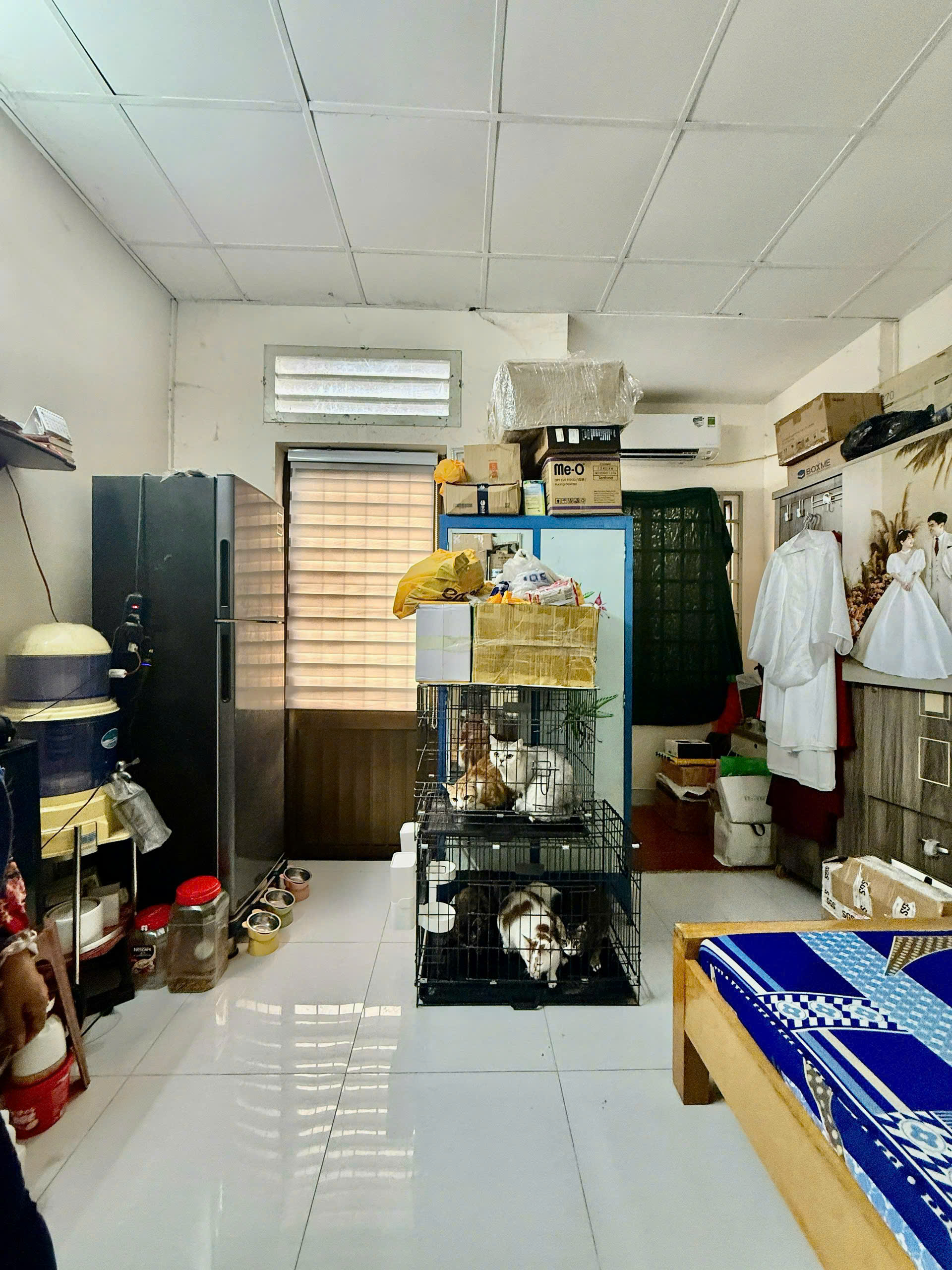 z7176528796988_62cccbf4c37dd139d97da2b3149f6cf1