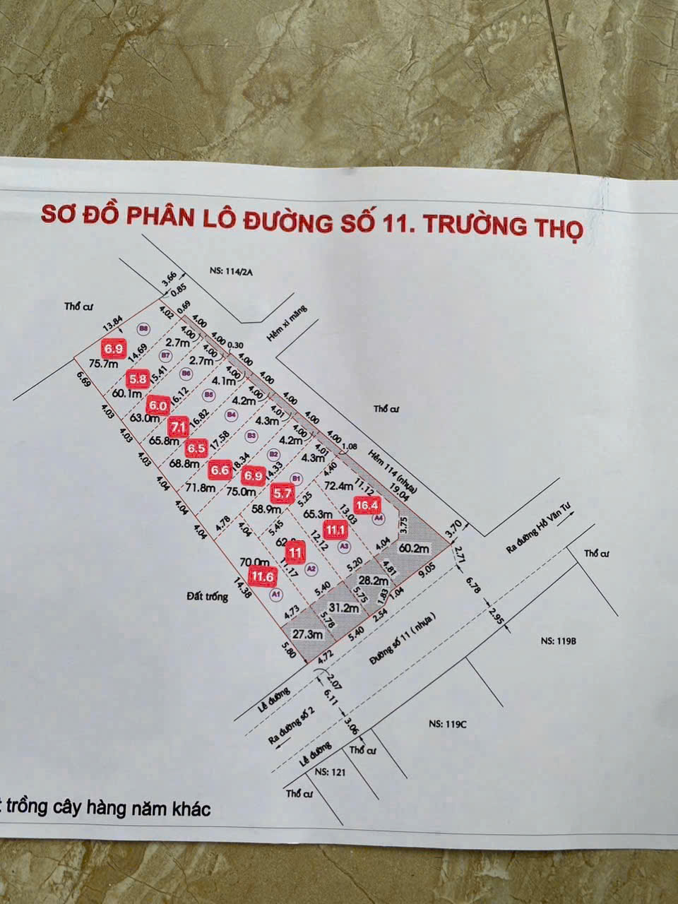 z7176647954082_243ddb459091cec4b0313fcdee4ebd0e