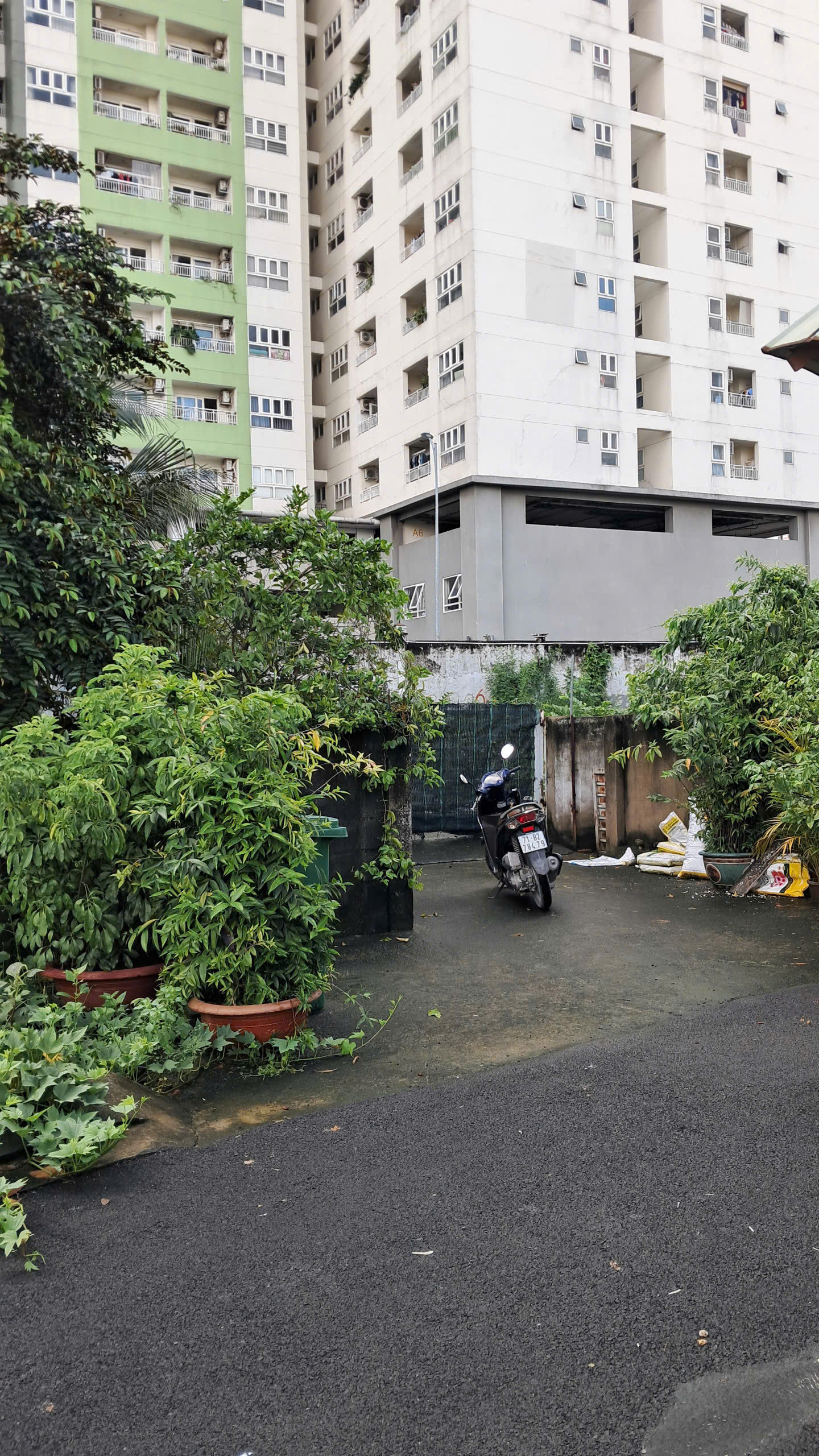 z7176651197602_36215700c78f3e89daf6af1e29a07d2a