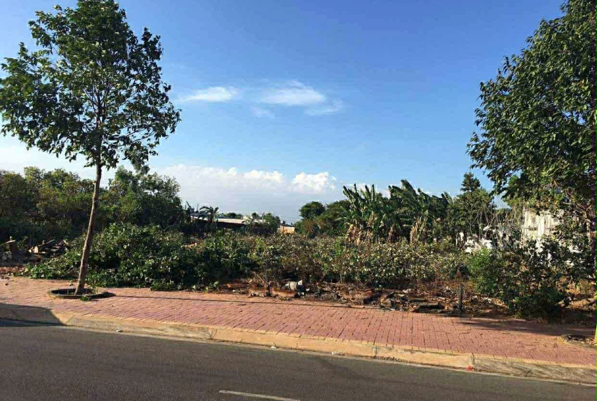 z7176999519736_f148406d75235b0b3d059e3d1ea9417e