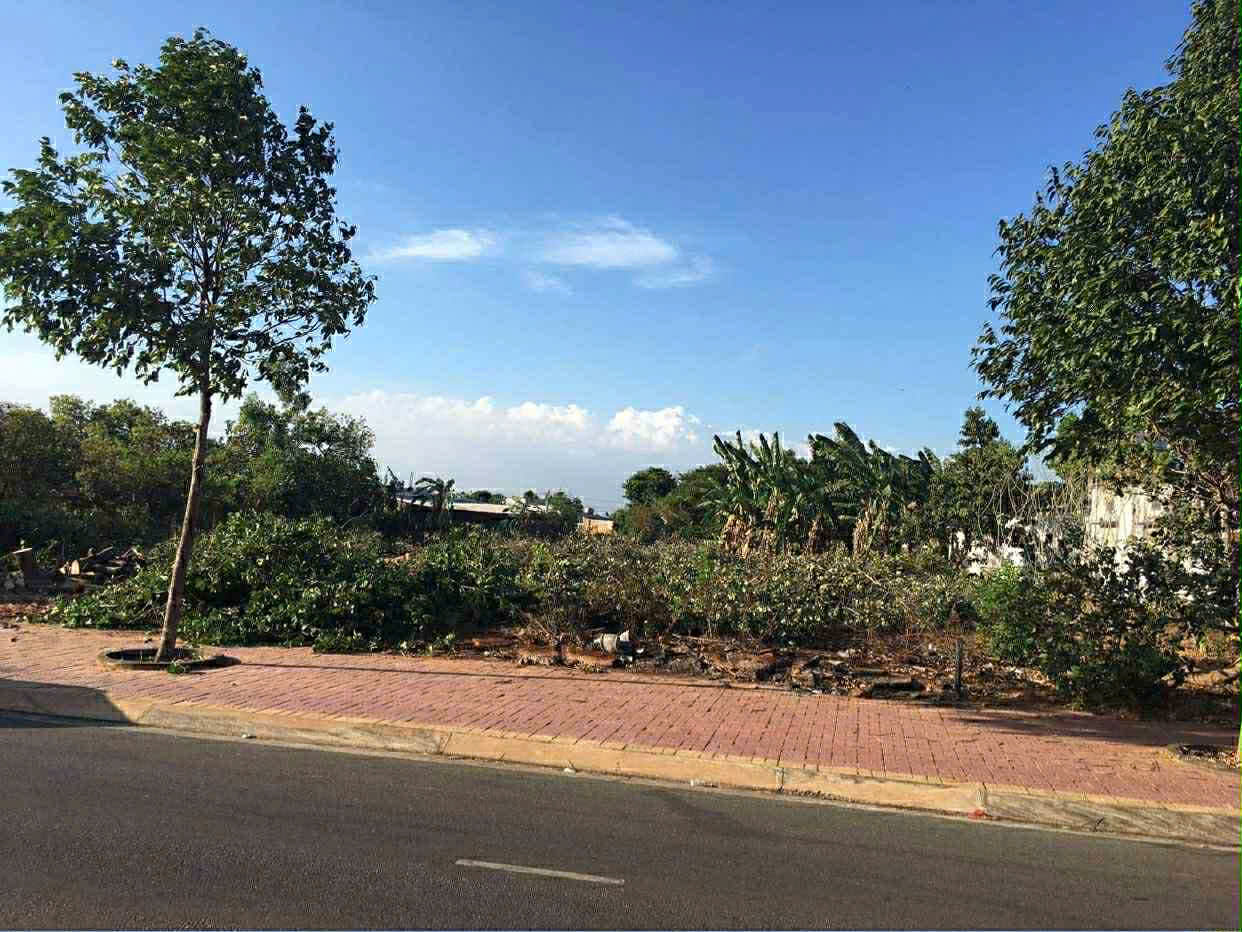 z7176999519736_f148406d75235b0b3d059e3d1ea9417e