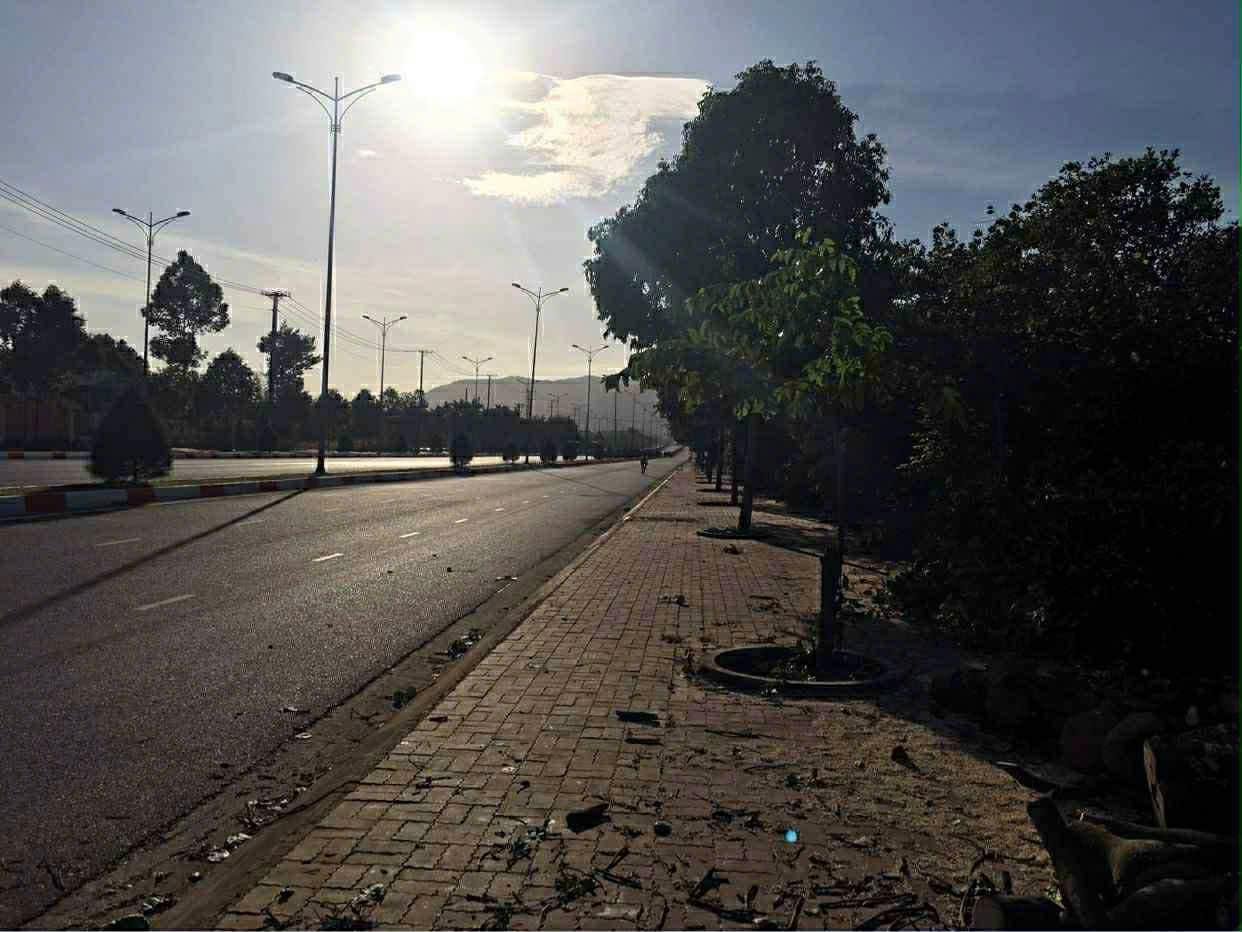 z7176999529852_623f46c01de08daa3d40f572e2e124f8