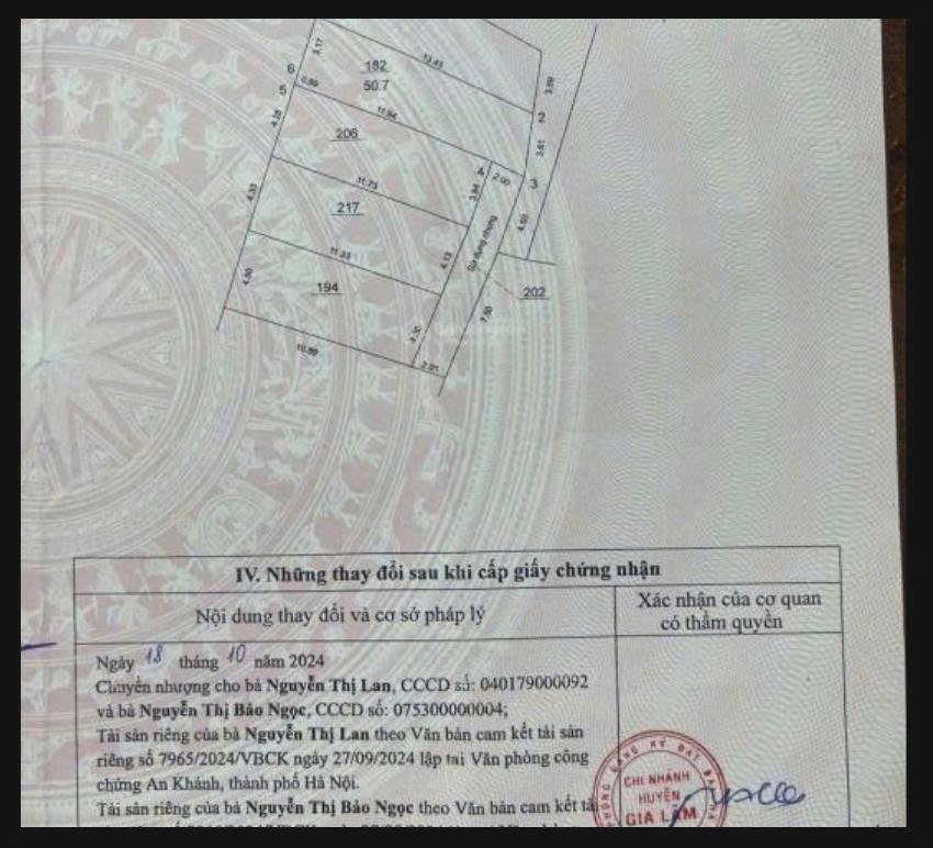 z7177220224518_6bd37494c4fd87a09fc43fff71df49ff