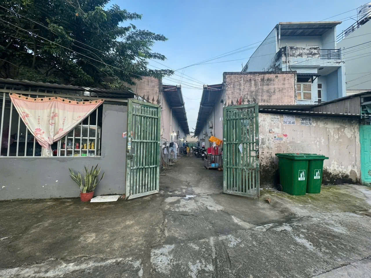 z7177636245807_32501fad782a1fd999653b6a48157d7d