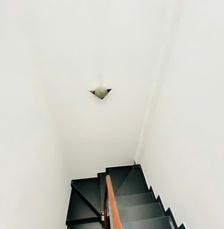 z7177646093821_232e3818e8958365755bbc0a50b8df42